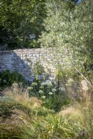 Old stone wall in cottage garden, summer