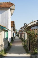 Pathway between coastal houses