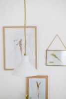 White pendant light with framed pressed flower pictures behind