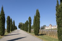 Tree lined road with Chateau in background 