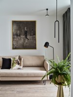 Modern room with sofa
