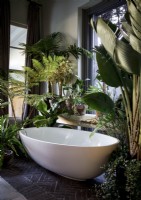 Houseplants surrounding freestanding white bath