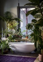 Freestanding bath in country bathroom filled with houseplants