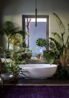 Freestanding white bath surrounded by lush houseplants
