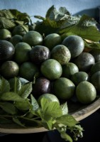Detail of limes in a large bowl