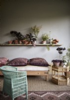 Low sofa and cushions in country living room filled with houseplants