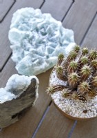 Detail of cactus and crystals on wooden surface