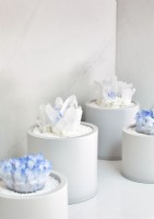 Display of crystals in white pots - detail
