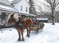 Horse pulling sleigh with mother and children at Christmas