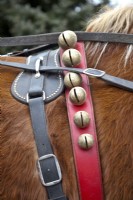 Detail of Christmas bells on horse's red leather collar