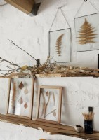 Framed pressed leaves on wall of country crafting workshop