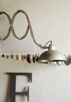 Vintage metal lamp and wall display of bird feathers
