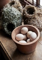 Terracotta pot of eggs next to collection of birds nests on windowsill