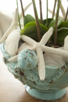 Filled with an orchid, starfish and sand dollars, a ceramic container makes a a cultural centerpiece  anywhere it is placed.