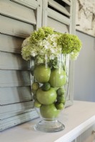 A clear vase holds a simple arrangement of hydrangeas, apples and limes in the same color family that brings the garden in.