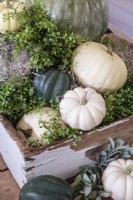 Little gourds and greenery are gathered in an old wooden crate for a festive centerpiece on the living room coffee table.