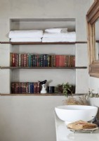 Bowl sink in bathroom with towels and books on shelves