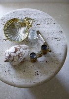 Opera glasses and shell ornaments on small round table