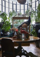 Display of taxidermy birds and animal skulls on antique table