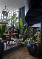 Large containers of exotic plants in classic conservatory 