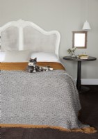 Pet cat on bed in country bedroom