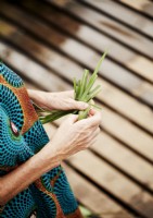 Detail of woman tying a bundle of leaves together