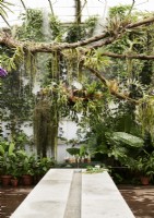 Concrete table with water rill in centre inside large tropical glasshouse 