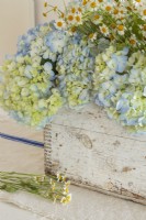 A weathered crate shows off delicate hydrangeas and chamomile blossoms.