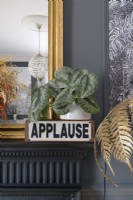 Detail of a vintage applause lamp on a mantlepiece with a gold framed mirror 