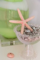 Starfish and shells bring the coastal location in.