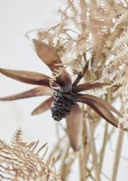 Detail of dried flowers and fern leaves 