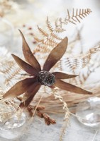 Detail of dried flowers and fern leaves