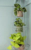 A tiered hanging vegetable basket is repurposed as a plant holder.
