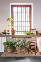 Baskets with produce in farmhouse kitchen