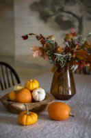 Autumnal display of small pumpkins and flowers in vase on table