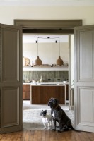 Two pet dogs sitting on doorway to kitchen
