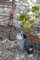 Detail of metal watering cans and potted plant next to old bench
