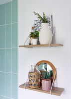Small shelves in bathroom with houseplants and ornaments
