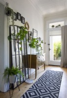 Houseplants and black and white runner mat in modern hallway