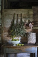 Drying bunches of flowers on rustic kitchen wall