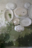 Display of white plates on distressed green painted wall 