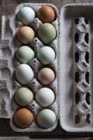 Carton of eggs of different colours and types - detail
