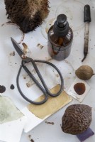 Detail of natural materials, seeds stones and crafting accessories