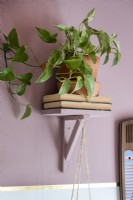 Tiny shelf with books and houseplant on against pink painted wall