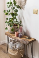 Candles and large houseplant on small rustic wooden table