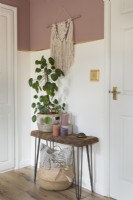 Houseplant on small rustic wooden table