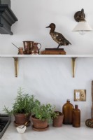 Taxidermy duck on shelf in kitchen