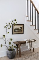 Rustic wooden bench and houseplant in hallway