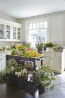 A potting room filled with fresh flowers.