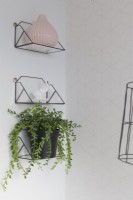 Detail of glass and metal shelves with house plant